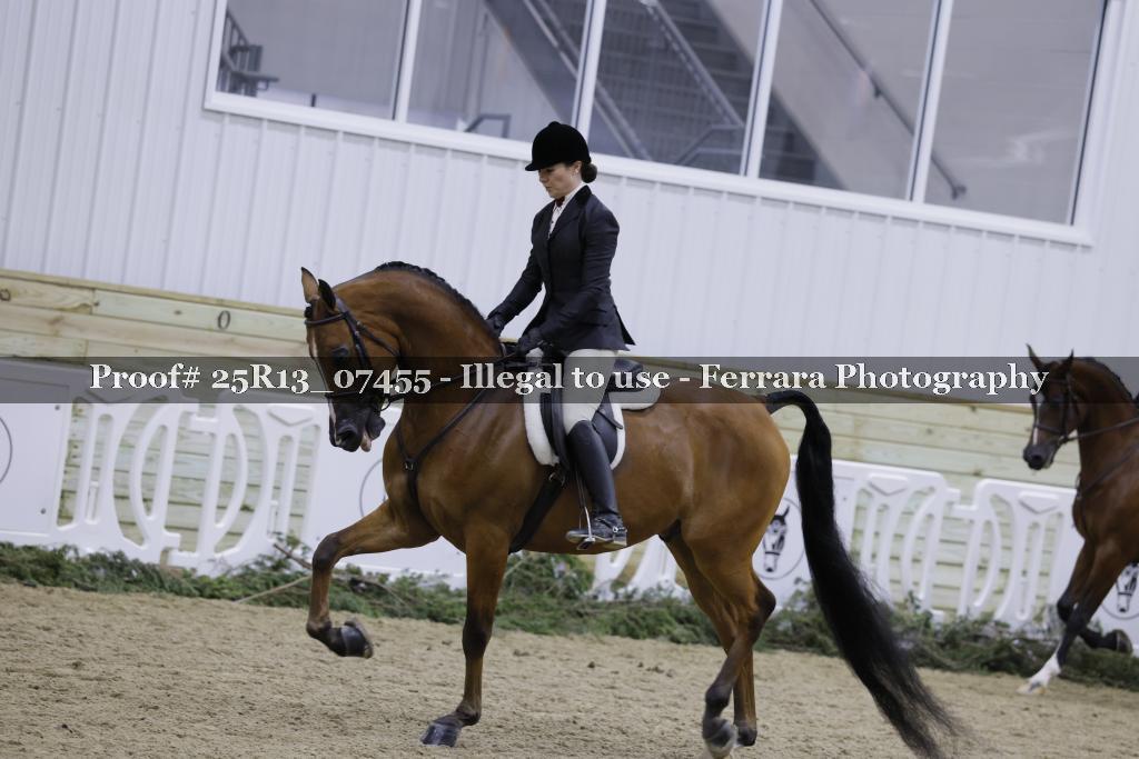 Proof 25R13_07455