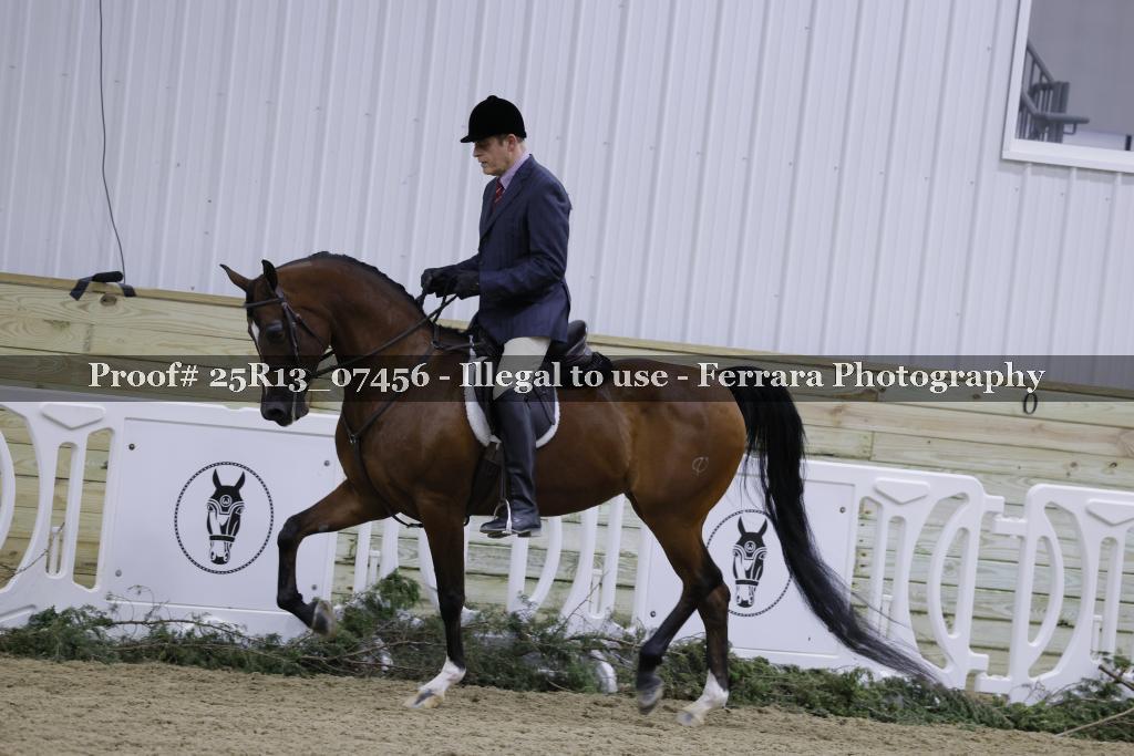 Proof 25R13_07456
