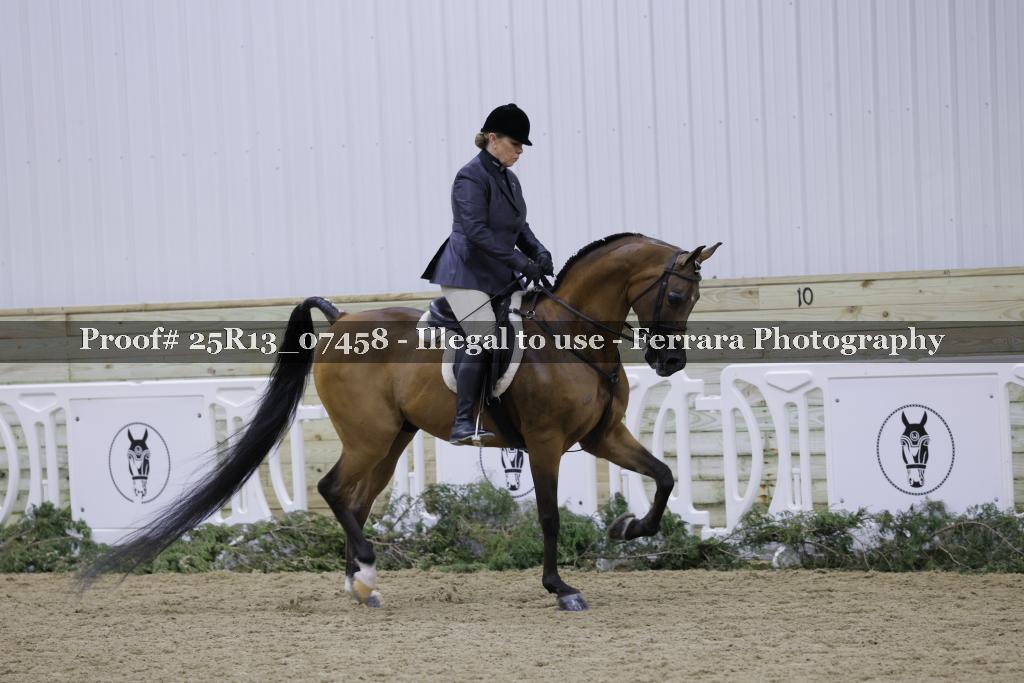 Proof 25R13_07458