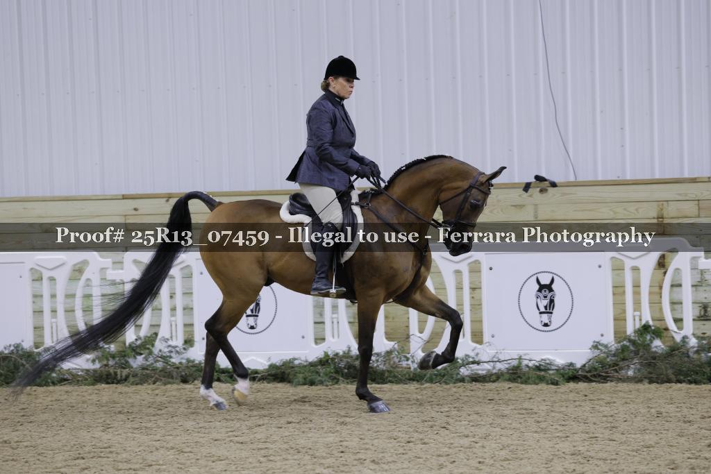 Proof 25R13_07459