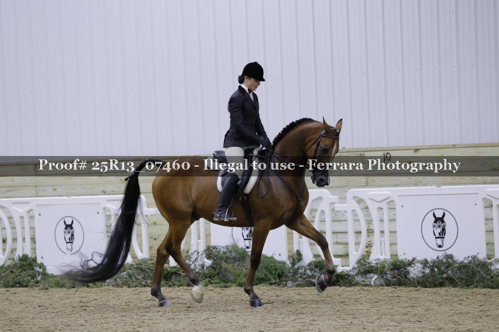 Proof 25R13_07460