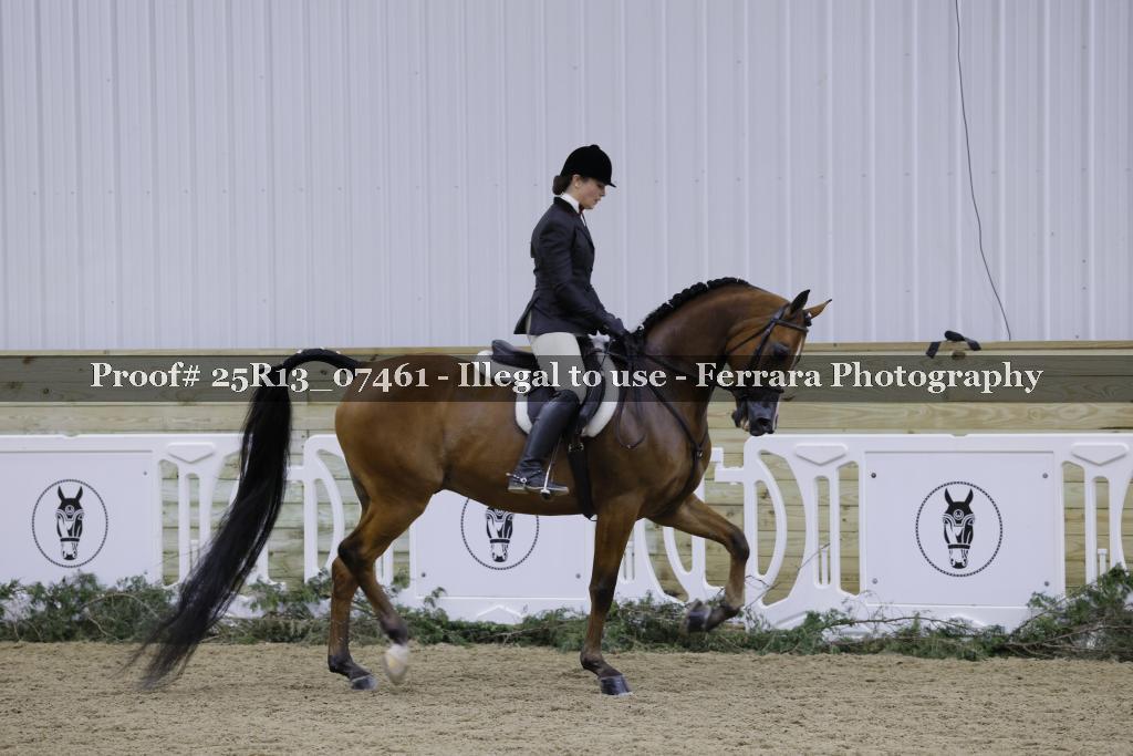 Proof 25R13_07461