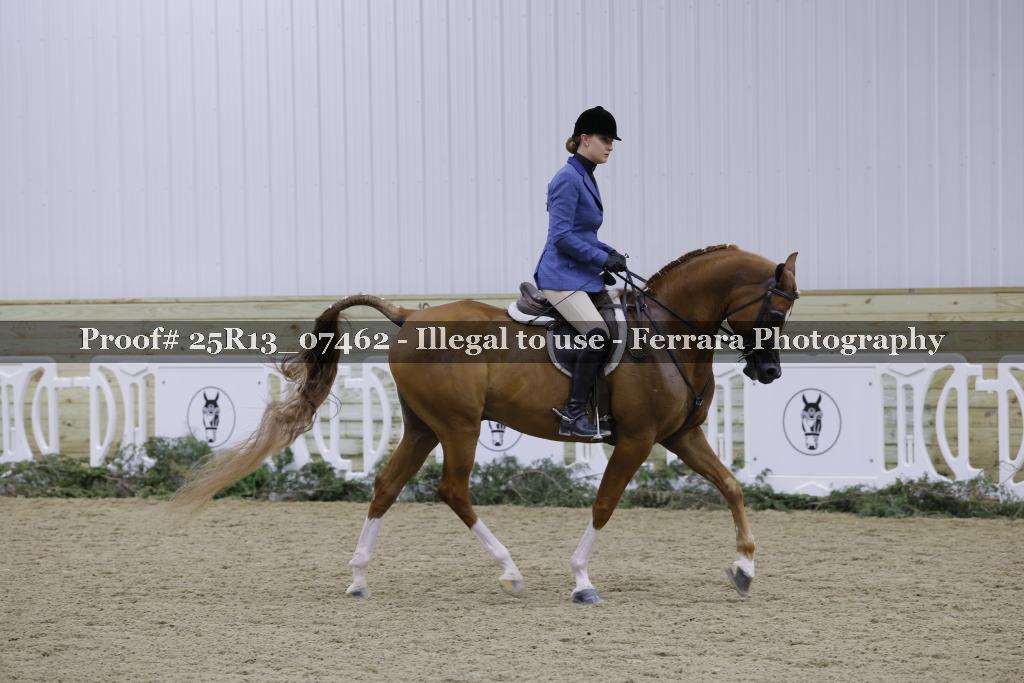 Proof 25R13_07462