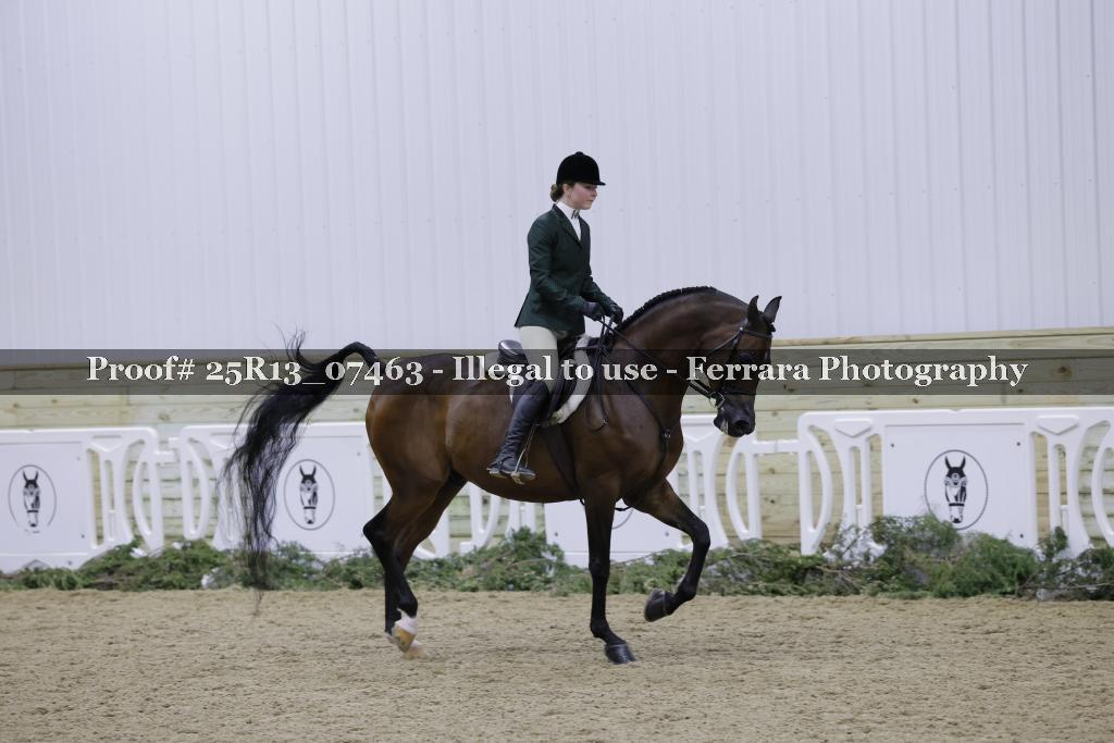 Proof 25R13_07463