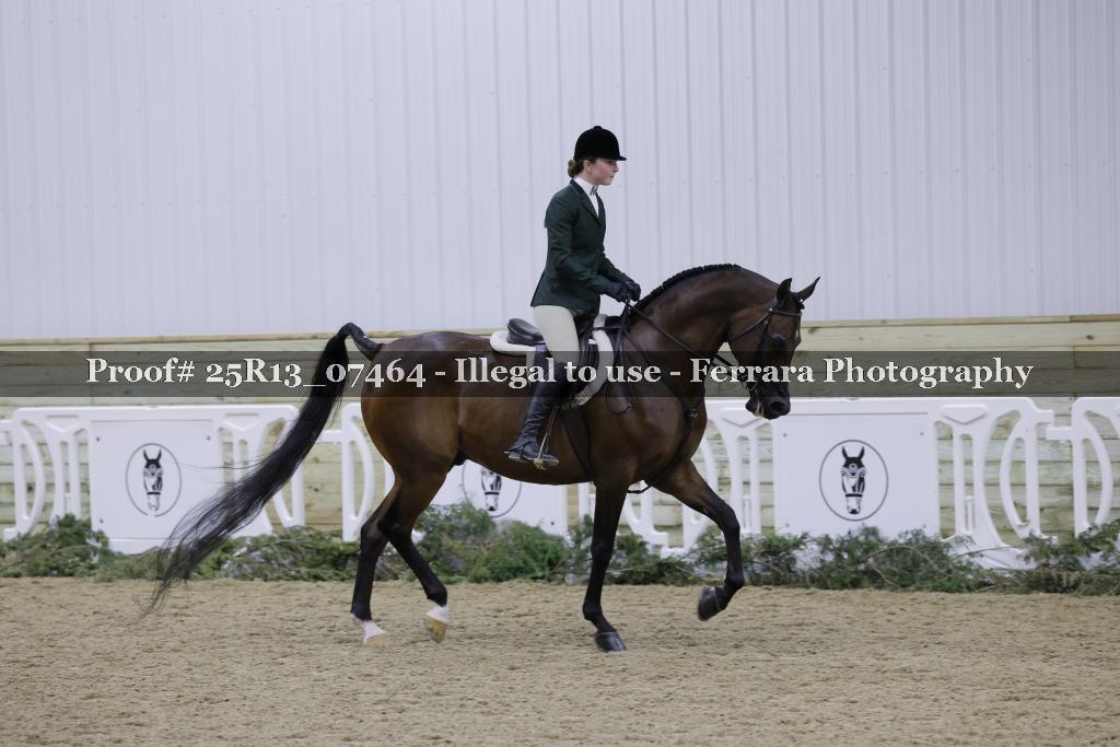 Proof 25R13_07464