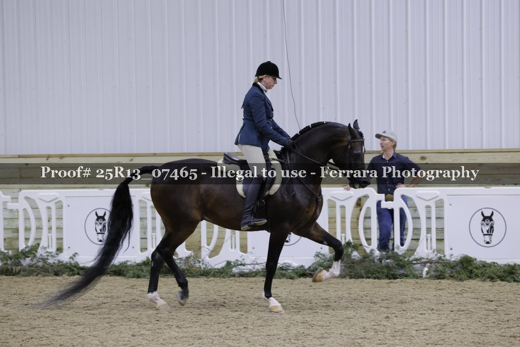 Proof 25R13_07465