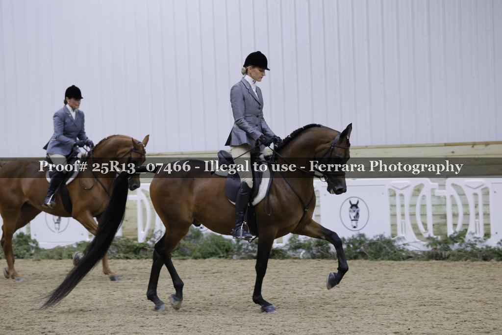 Proof 25R13_07466