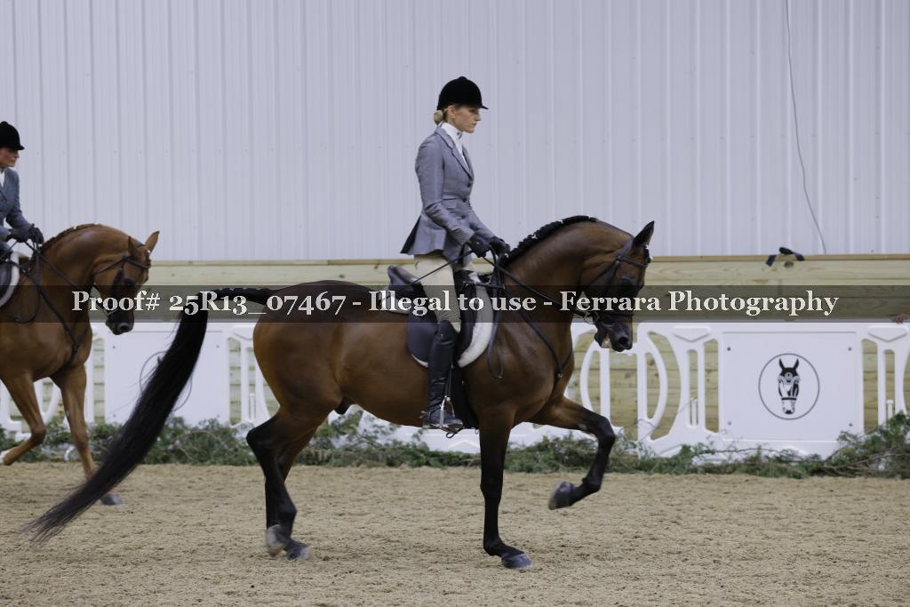 Proof 25R13_07467
