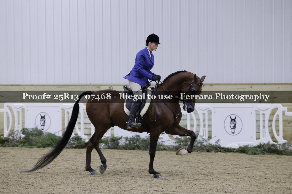 Proof 25R13_07468