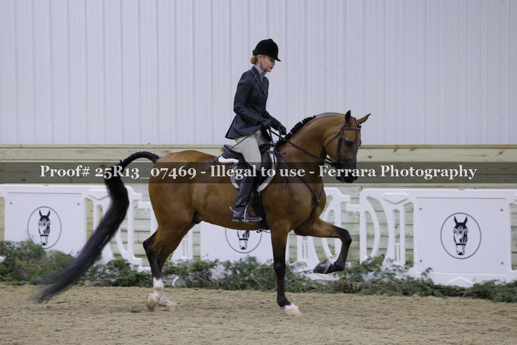 Proof 25R13_07469