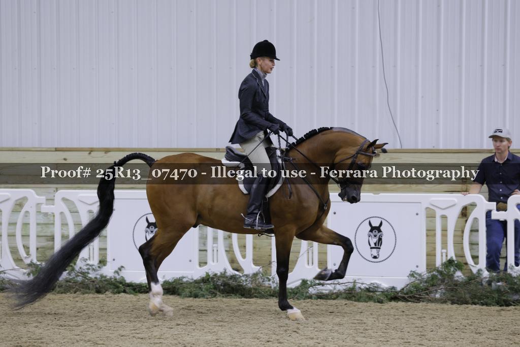 Proof 25R13_07470