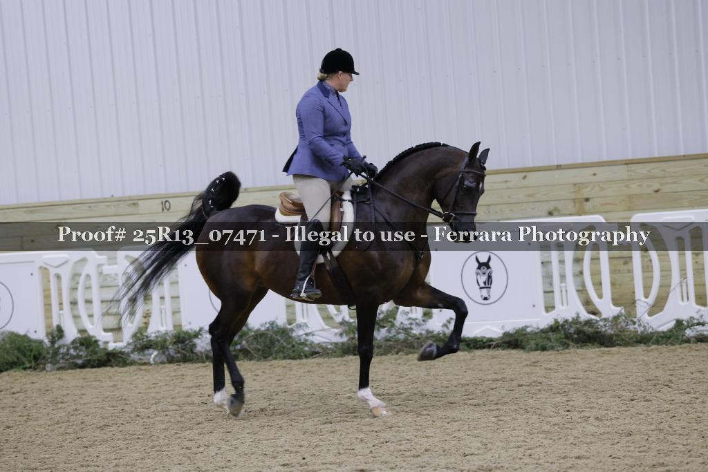 Proof 25R13_07471