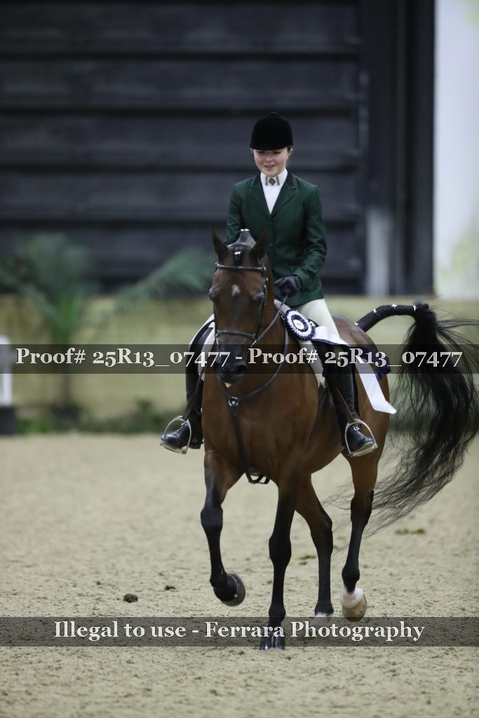 Proof 25R13_07477