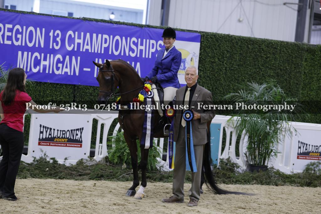 Proof 25R13_07481