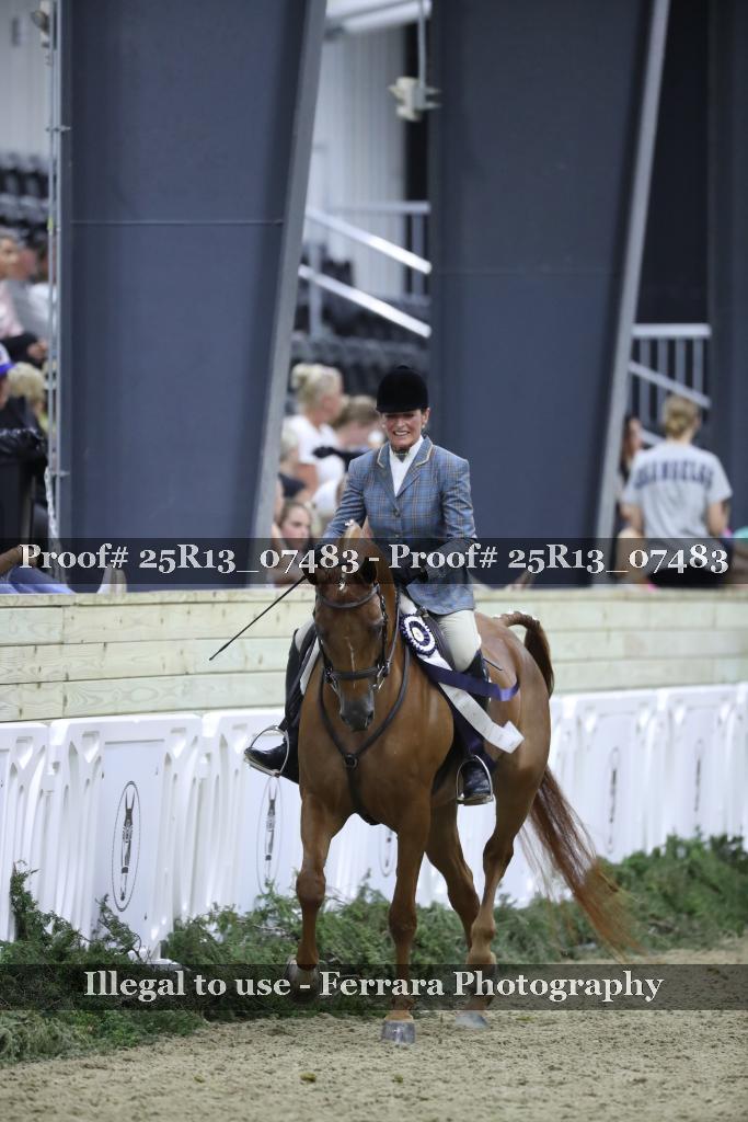 Proof 25R13_07483