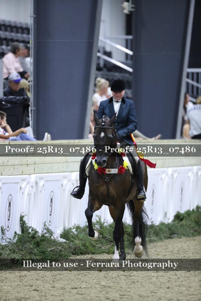 Proof 25R13_07486