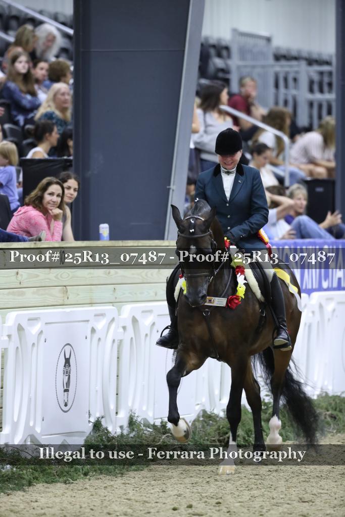 Proof 25R13_07487