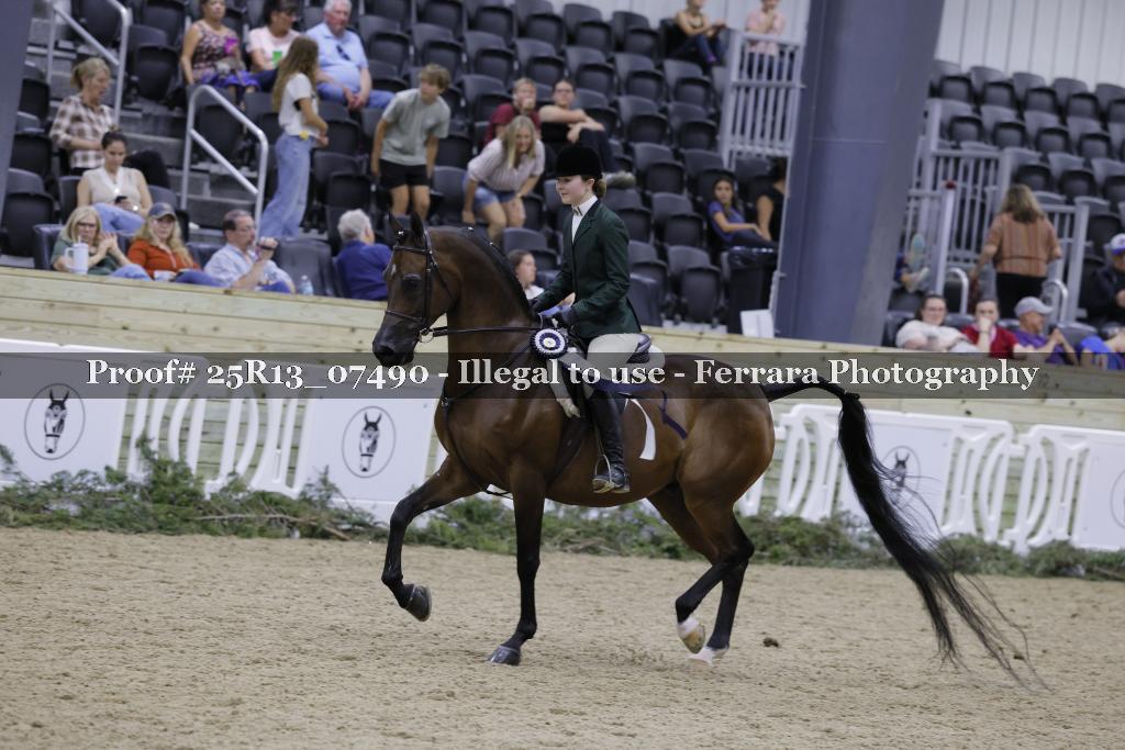 Proof 25R13_07490