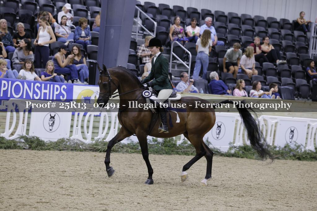 Proof 25R13_07491