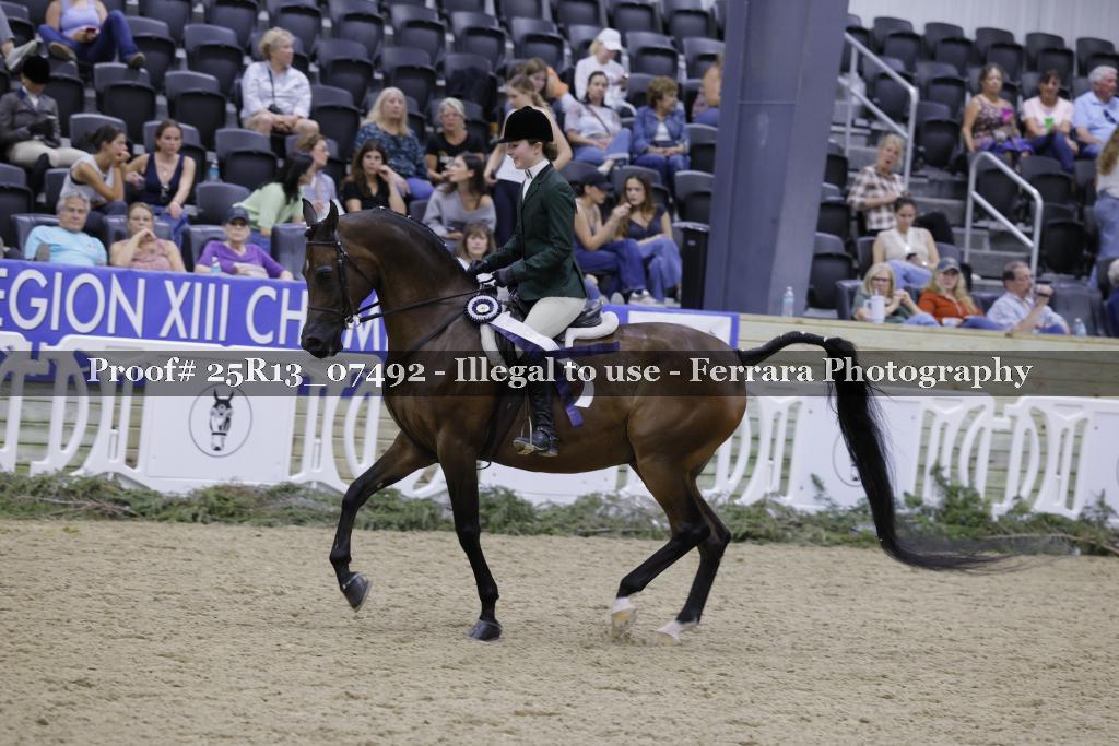 Proof 25R13_07492