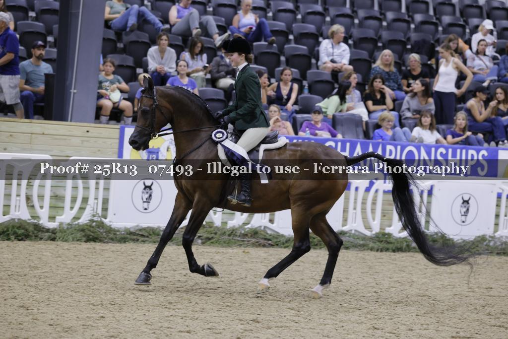 Proof 25R13_07493