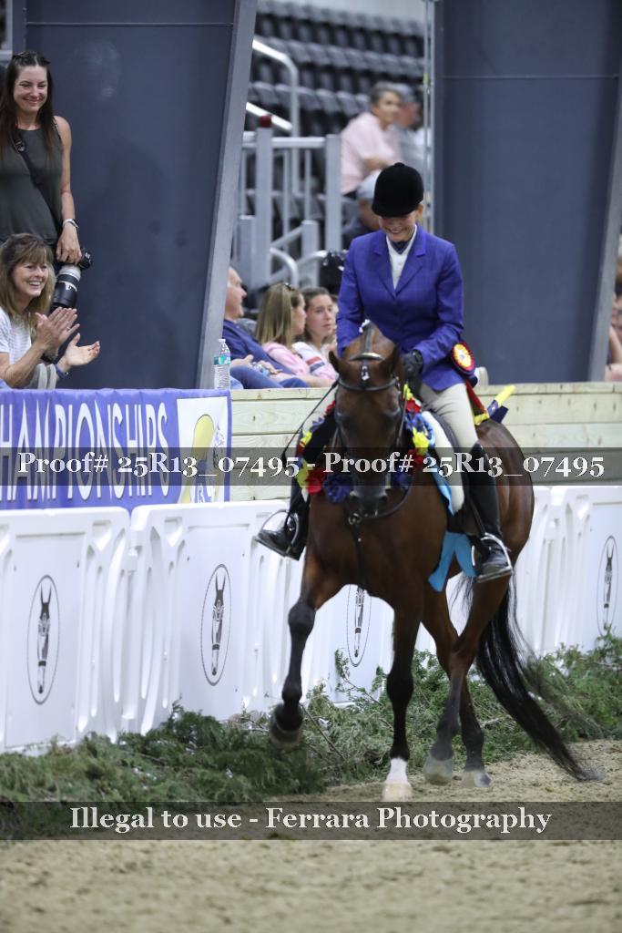 Proof 25R13_07495