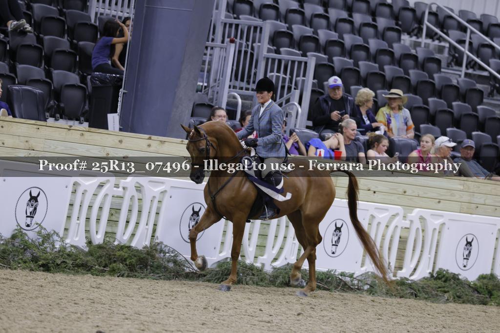Proof 25R13_07496