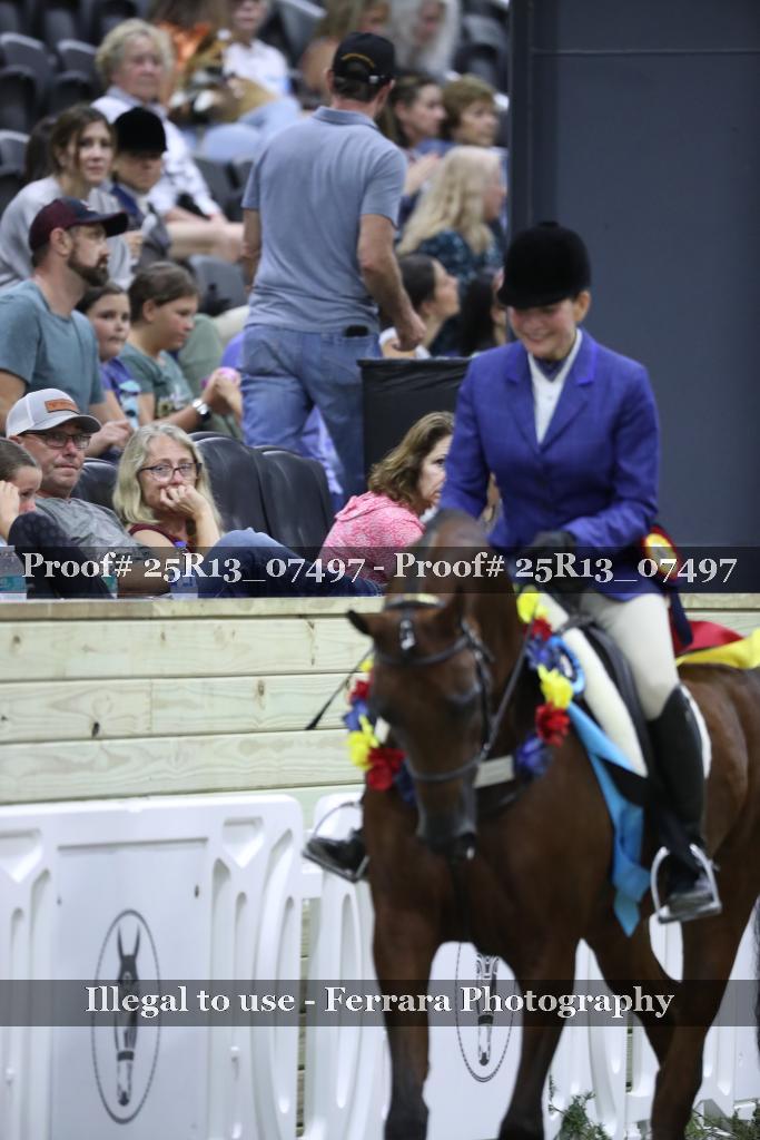 Proof 25R13_07497