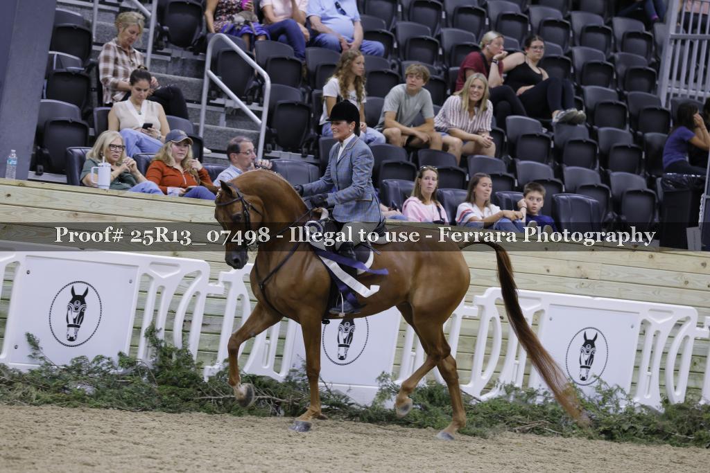 Proof 25R13_07498