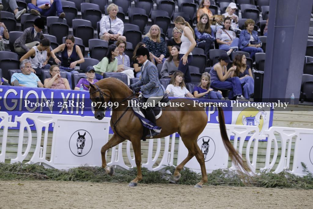 Proof 25R13_07499