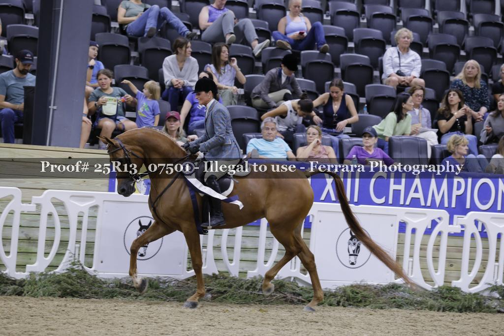 Proof 25R13_07501