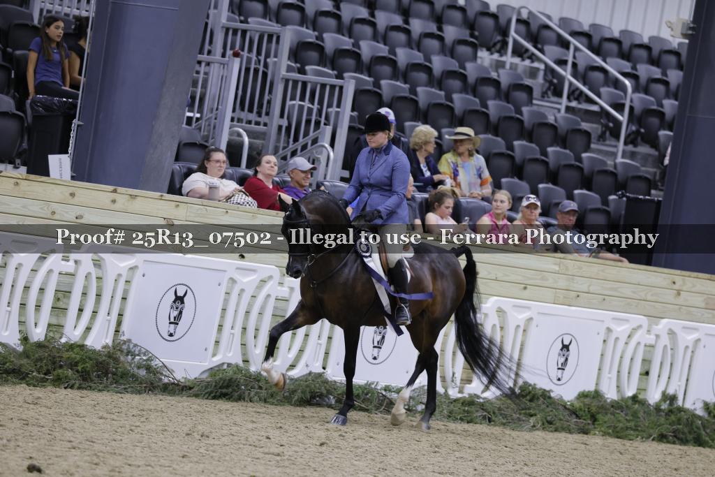 Proof 25R13_07502
