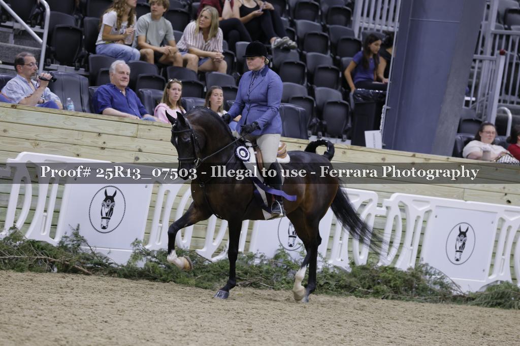 Proof 25R13_07503