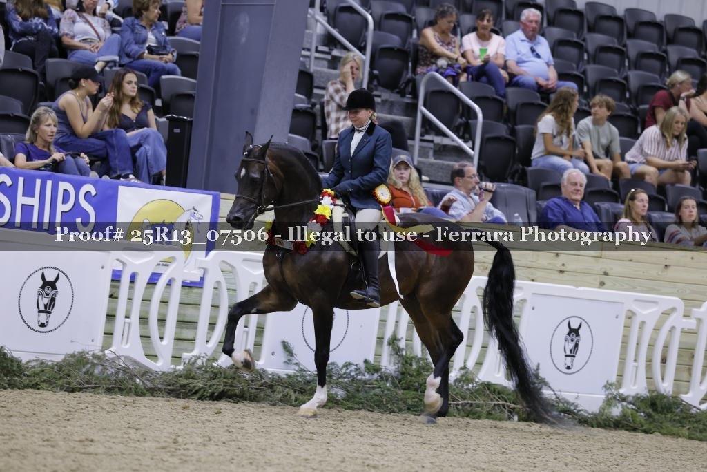 Proof 25R13_07506