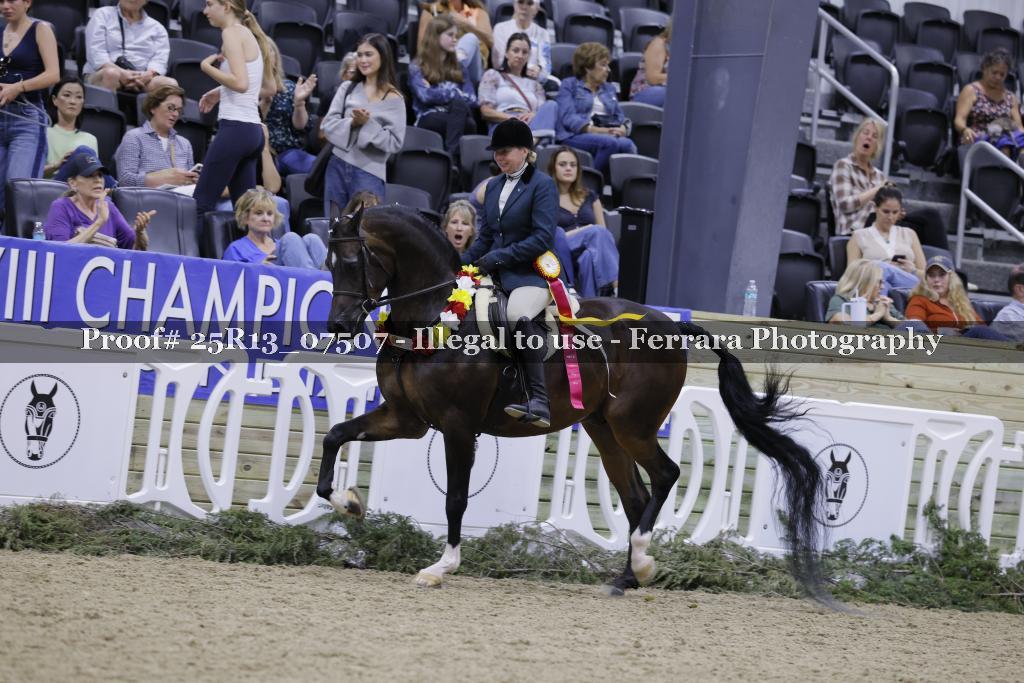 Proof 25R13_07507