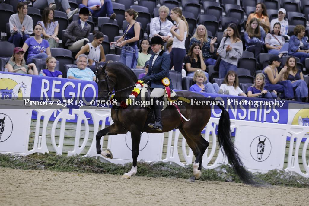 Proof 25R13_07508