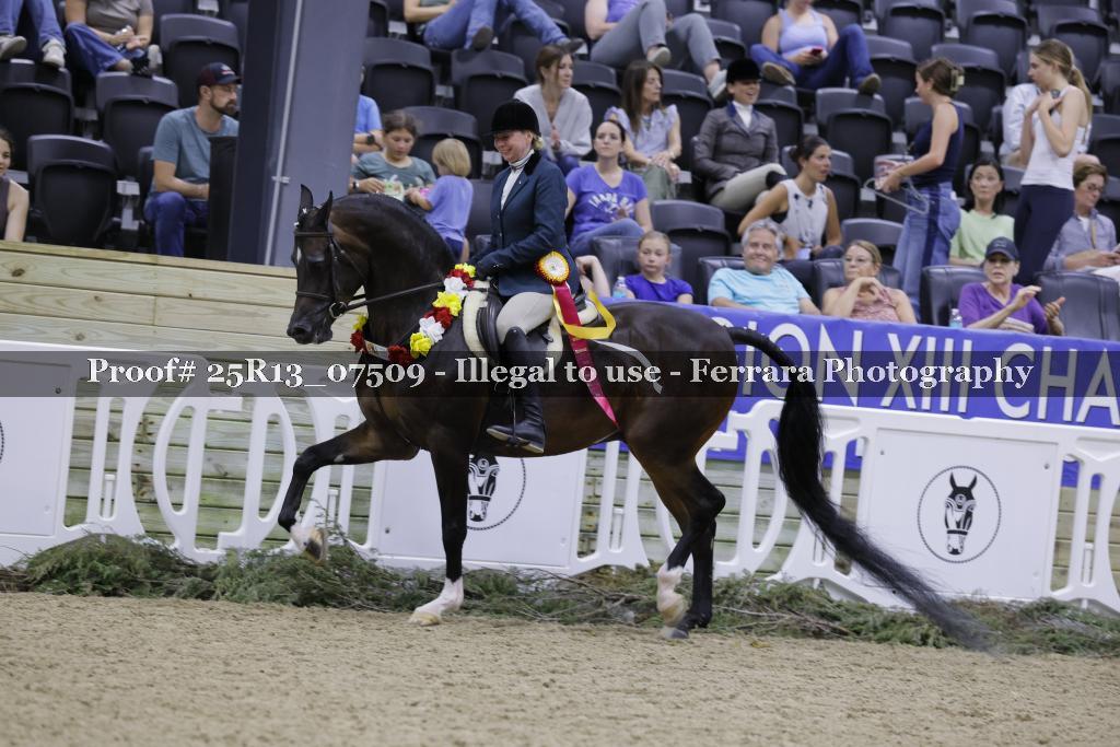 Proof 25R13_07509