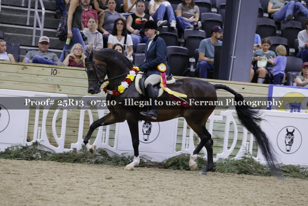 Proof 25R13_07510