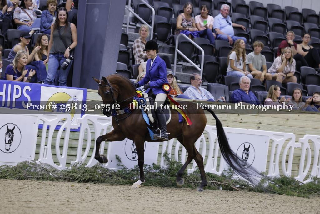 Proof 25R13_07512