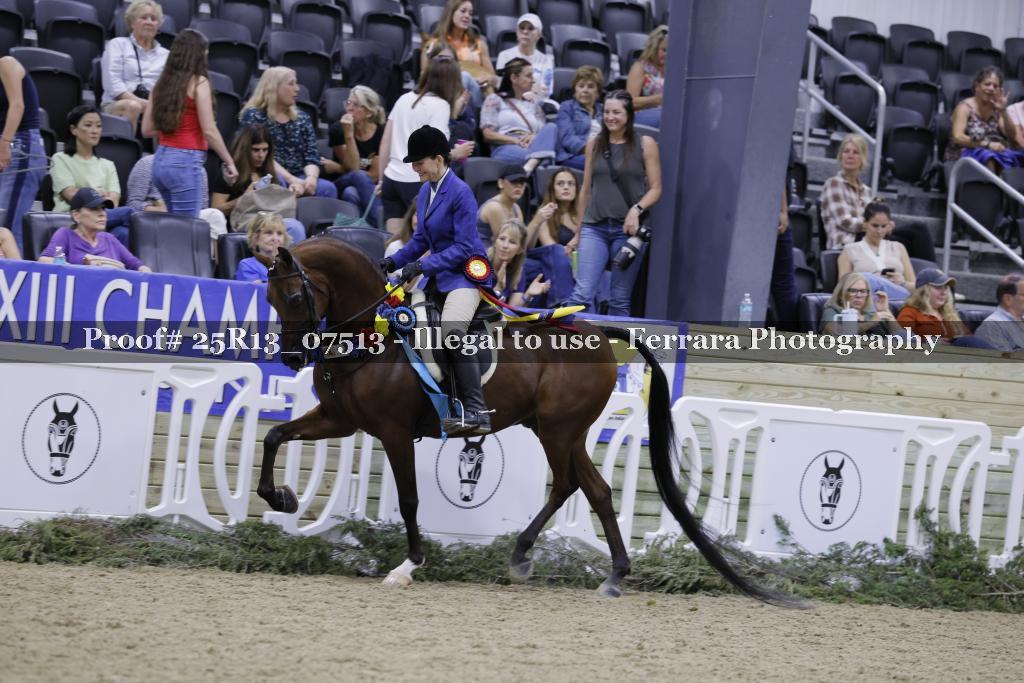 Proof 25R13_07513