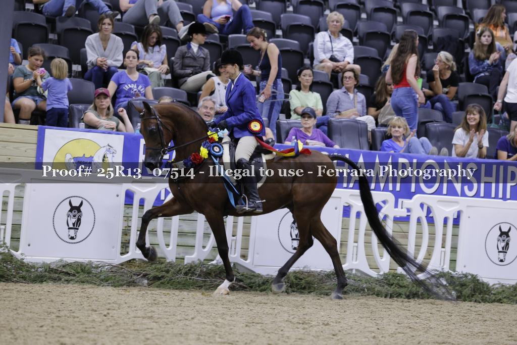 Proof 25R13_07514