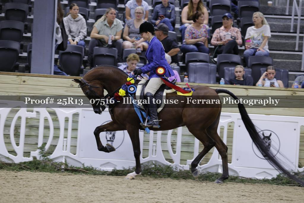 Proof 25R13_07516