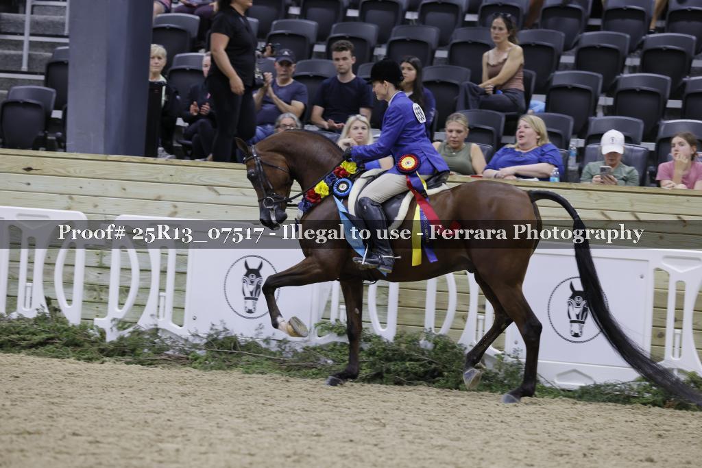 Proof 25R13_07517