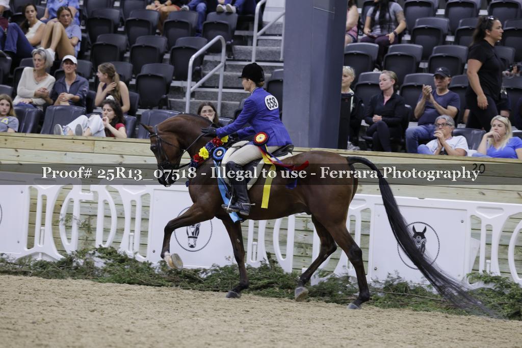 Proof 25R13_07518
