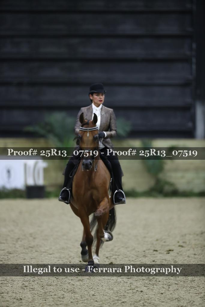 Proof 25R13_07519
