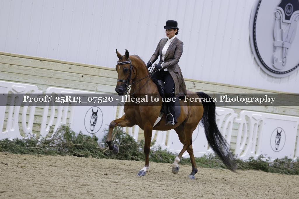 Proof 25R13_07520