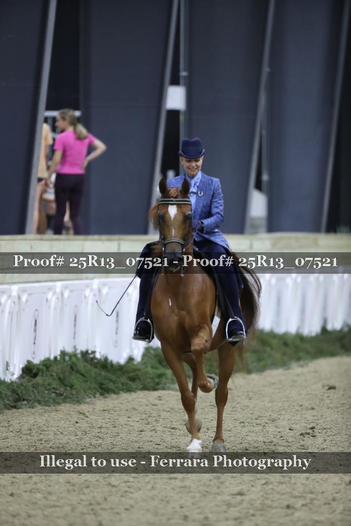 Proof 25R13_07521