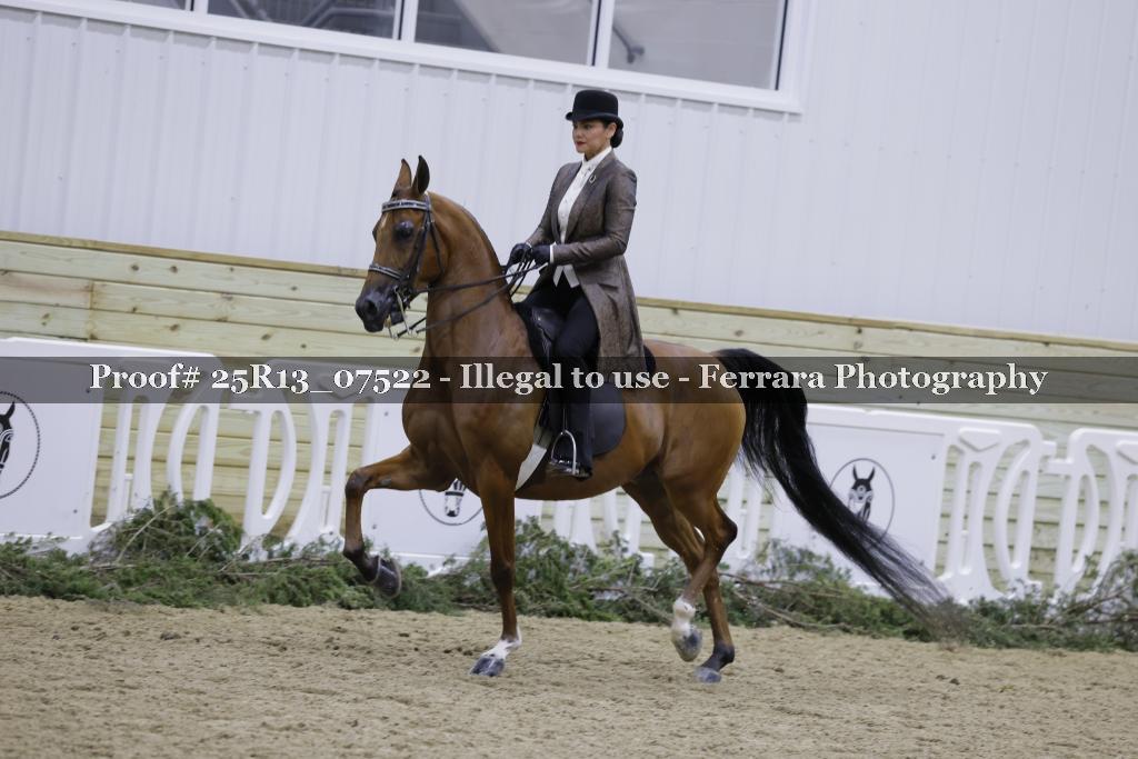 Proof 25R13_07522