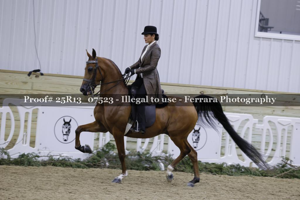 Proof 25R13_07523