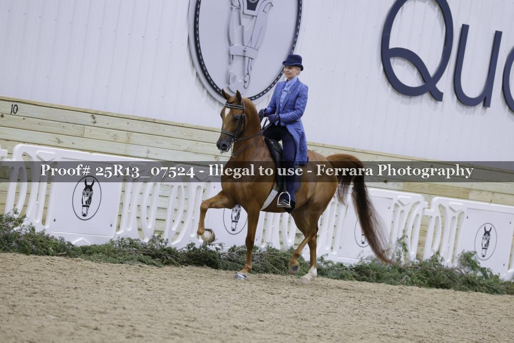 Proof 25R13_07524